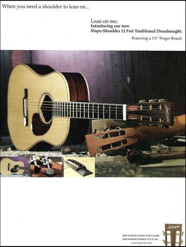 2004 larrivee 40 - larrivee, d-40