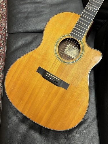 Larrivee special edition - larrivee,