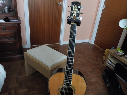 Larrivee l10 special - larrivee, edition