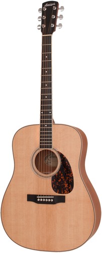Larrivee recording series - d-03,